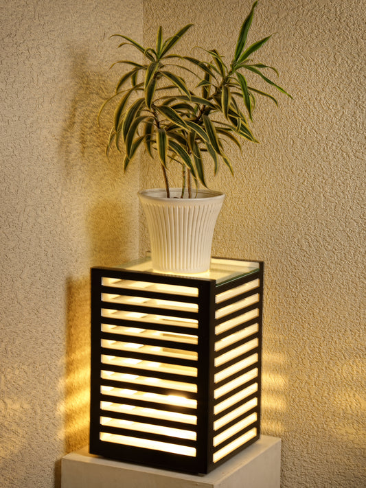 AM Planter with light